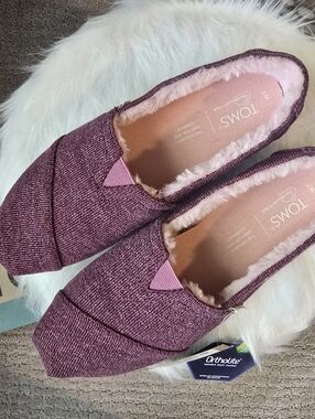 TOMS Alpargata Women's Slip-On in Plum